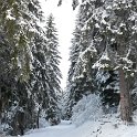 Track to the chalet Track to the chalet