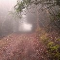 My favorite running track My favorite running track