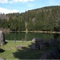 The Lake and Revel forest in summer The Lake and Revel forest in summer